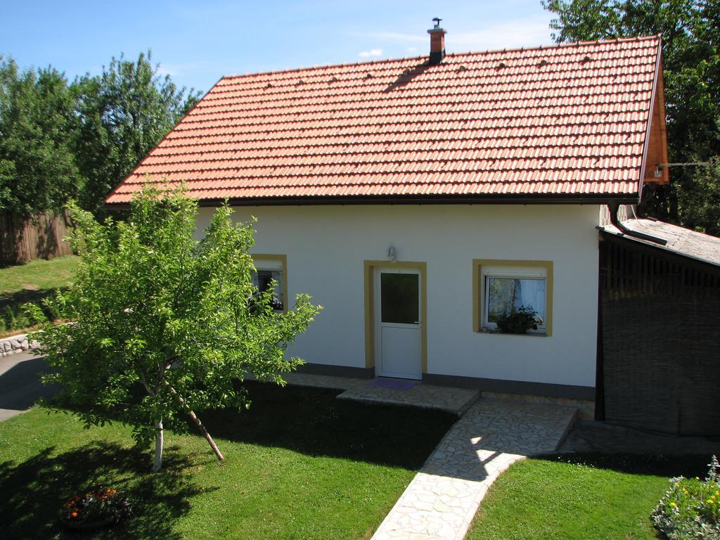 Apartment Ilija Rakovica Exteriér fotografie